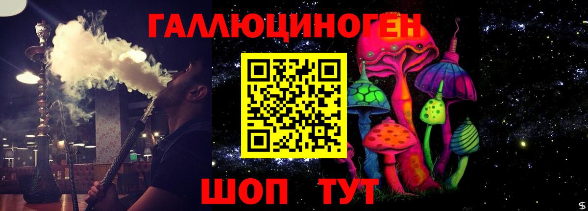 Галлюциногенные грибы GOLDEN TEACHER  Галлюциногенные грибы Psilocybe  Вход с VPN  Елизово 